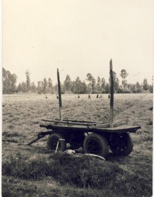 Vercellesi, preparazione della risaia, Scannerizzate da originale, CC BY-SA