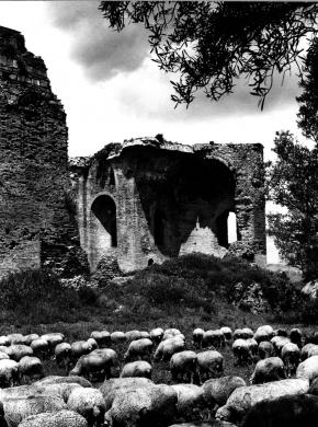 Studio Moscariello, Basilica di Santa Maria della Roccella a Roccelletta di Borgia, 1961 circa, gelatina ai sali d'argento, CC BY-NC-ND