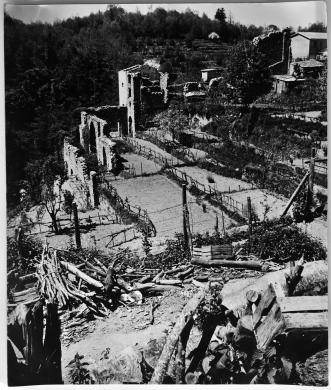 Ignoto fotografo, Veduta delle rovine e ingresso delle Reali Ferriere e Officine Borboniche a Mongiana , gelatina ai sali d'argento, CC BY-NC-ND