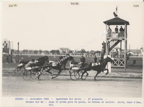 Francesco Dellamore, Cesena, Ippodromo del Savio, Premio del Re, 09/1928, CC BY-NC-ND
