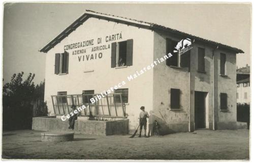 Premiata Fotografia A. Manuzzi, Cesena, Cesena, vivaio di una azienda agricola della Congregazione di carità, post 1930, CC BY-NC-ND