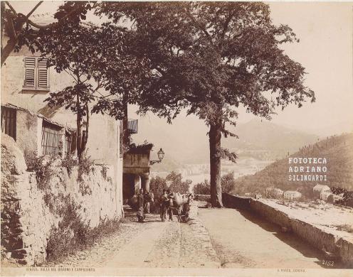 Noack, Alfred, 2153 Genova, val Bisagno, albumina, CC BY-SA