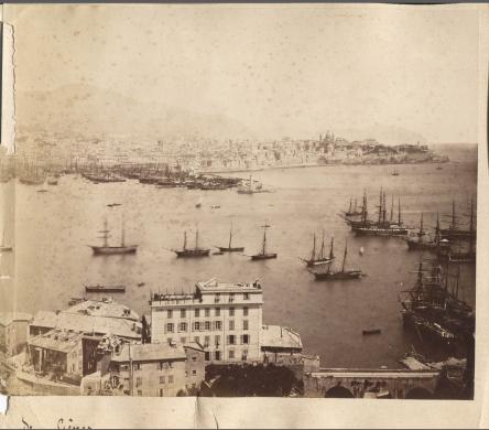 Degoix, Celestino, Panorama de Genes (II), albumina, CC BY-SA