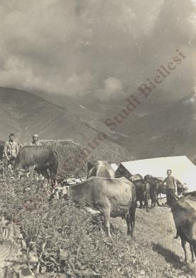Alpe Montuccia (Muntüccia da Sura), CC BY-SA