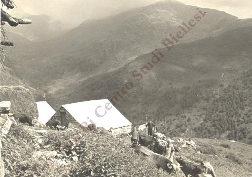 Alpe Montuccia (Muntüccia da Sura), CC BY-SA