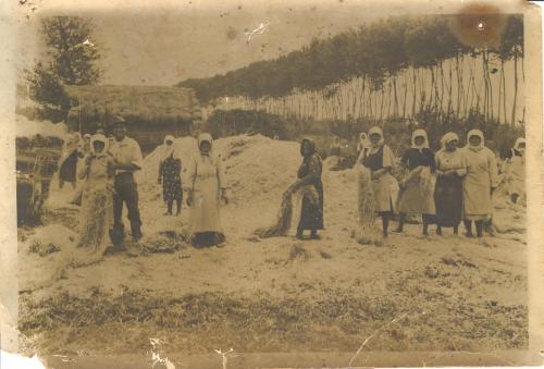 Lavorazione della canapa, CC BY-NC-ND
