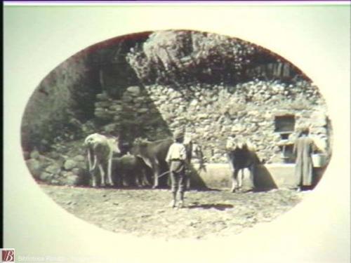 Vaiani , Mario, All'abbeveratoio, 1921, fotografia [ristampa] : gelatina bromuro d'argento su carta baritata ; 300x400 mm, CC BY-NC-ND