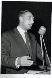 Reggio 15