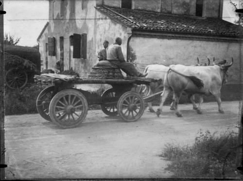 Emilio Sommariva, Valle del Lamone, Ritorno dai lavori di Bonifica, 1925 circa, gelatina bromuro d'argento, carta, CC BY-SA