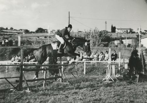 Sconosciuto, Sport a Sanremo - Equitazione, 1950 circa, Gelatina ai sali d'argento/carta, CC BY-SA
