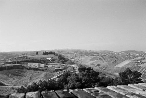 Amedeo Grilli, Veduta da Altidona - lato ovest, pellicola BN 24x36mm, CC BY-NC-ND