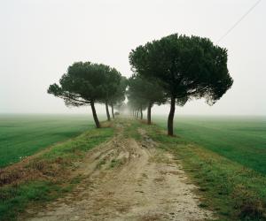 Archivio Lugo Land
