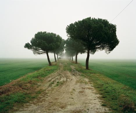 David Farrell, Senza titolo (dalla serie "Nè vicino, nè lontano. A Lugo"), 2006, C-Print, CC BY-NC-ND