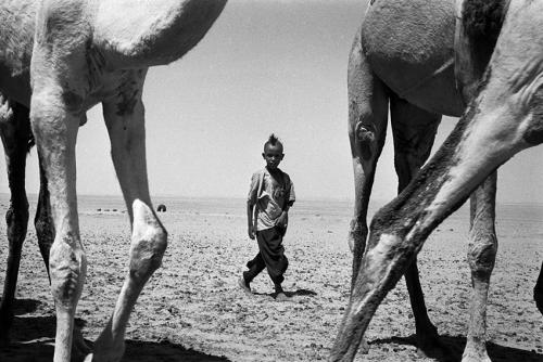 Mario Dondero, Il giovanissimo pastore nomade nel Sahara, Niger, 1966, negativo BN 24x36mm, CC BY-NC-ND