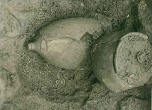 Villa Bertrand, CC BY-NC-ND