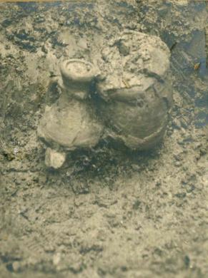 Villa Bertrand, CC BY-NC-ND