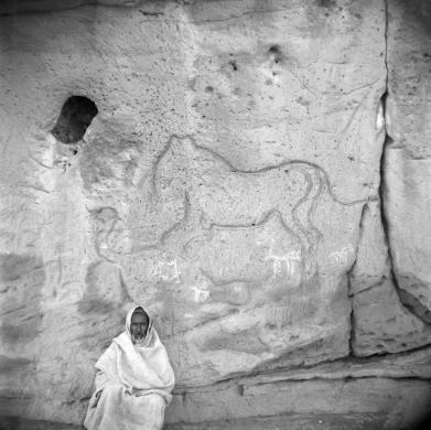 Paolo Graziosi, Incisioni rupestri di animali (Udei El Chel, Libia), 1954, diapositiva in bianco e nero, CC BY-SA