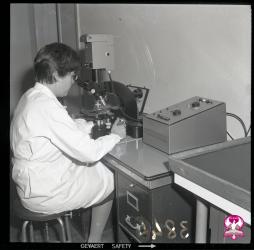 Fototeca ICPAL
