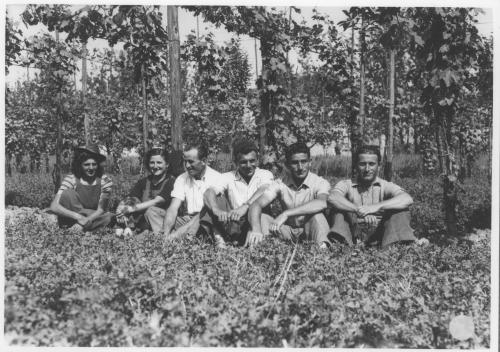 Vendemmia, post 1947, gelatina ai sali d'argento, CC BY-SA