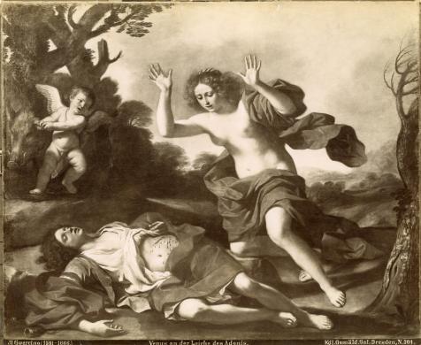 F. & O. Brockmanns Nachf. R. Tamme, Guercino, Venere accorre sul cadavere di Adone, Albumina/carta, CC BY-NC-ND