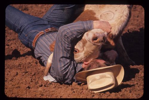 Carlo Bavagnoli, Rodeo - America, 1964, gelatina bromuro d'argento/pellicola in rullo diapositiva (acetato), CC BY-NC-ND