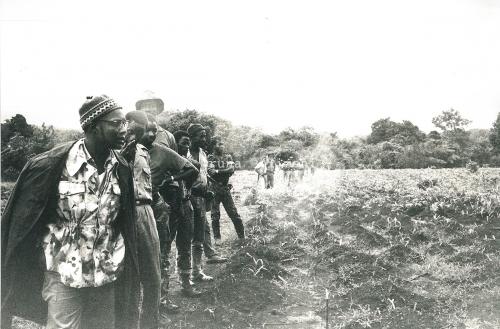Polimeni, Bruna, Amílcar Cabral visita un campo di manioca, 1971 circa, CC BY-SA Polimeni, Bruna, Amílcar Cabral visita un campo di manioca, 1971 circa, CC BY-SA