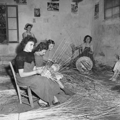 Bragaggia, Ettore, Donne che intrecciano cesti in vimini in uba stalla, 1950 ca.  - Fondo Ettore Bragaggia -, gelatina al bromuro d'argento/ pellicola, CC BY-SA