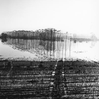 Campeol, Daniele (1955-2006), Portobuffolè (TV), Inondazione, 2000 - Fondo La Marca del 2000 -, gelatina ai sali d'argento/ carta, CC BY-SA