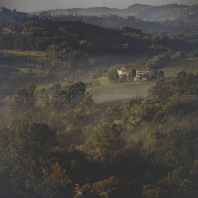 Galifi, Francesco (1968), Refrontolo (TV), Casolare in vallata del torrente Crevada, 2000 - Fondo La Marca del 2000 -, gelatina ai sali d'argento/ carta, CC BY-SA