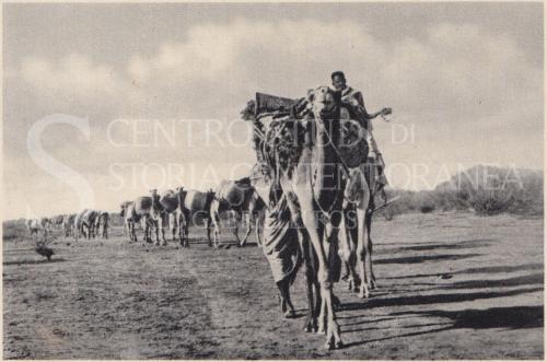 Anonimo, Carovana abissina, Fotografia, CC BY-SA