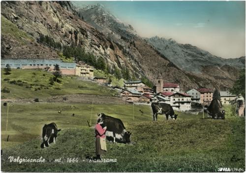 Autore non identificato, Pascolo a Valgrisenche, 1965 circa, Cartolina postale, CC BY-NC-SA