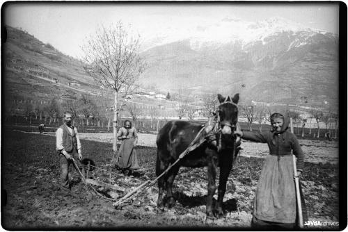 Jean Fusanotti, Aratura nella campagna di Aosta, 1912, Negativo gelatina-bromuro su lastra di vetro, CC BY-NC-SA