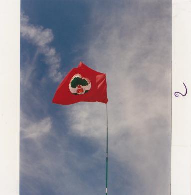 Bandiera del PDS a Festa Reggio (Partito democratico della sinistra), 2004, CC BY-NC-ND