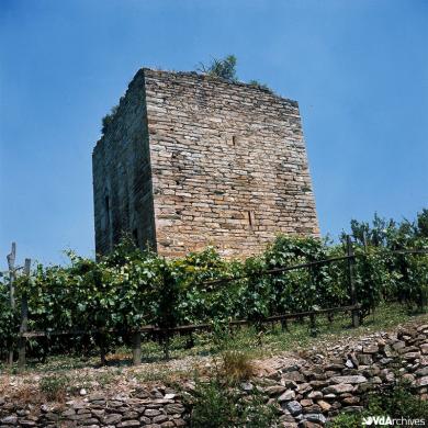 Giuseppe Lucca, Torre della Plantà a Gressan, 1965 circa, Diapositiva su pellicola, CC BY-NC-SA