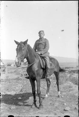 Lastre negative su vetro al bromudo d'argento, CC BY-SA