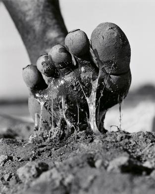 Barbieri Gian Paolo, Foot in the soy, Madagascar , 1994, Fotografia, CC BY-SA
