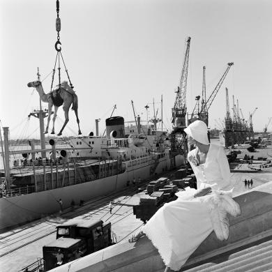 Barbieri Gian Paolo, Jill Kennington in Missoni, Port Sudan , 1974, Fotografia, CC BY-SA