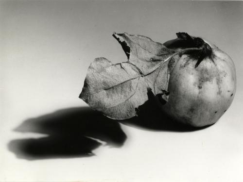 Non identificato, Still life. Forme della natura, mela cotogna, 1989 circa, gelatina ai sali d'argento/carta, CC BY-NC-ND