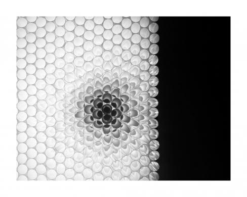 Moiraghi, Eleonora, Still life. Cannucce, 2012 circa, digitale/virtuale, CC BY-NC-ND