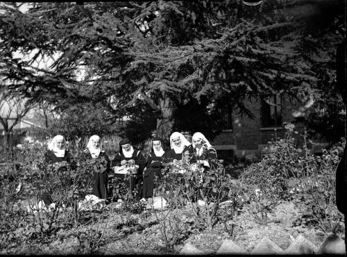 Negativo su vetro, CC BY-SA