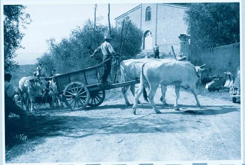 David Bastianoni, Manifestazioni contadine alle fattorie, 1954, bianco e nero, CC BY-NC-ND