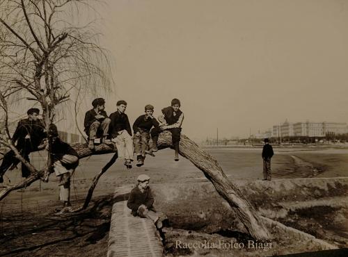 Bairros de Sol -(Quartiere de Sol)  premiato nell'esposizione Nazionale dell'Igene del 1904 copia, gelatina ai sali d'argento, CC BY-SA