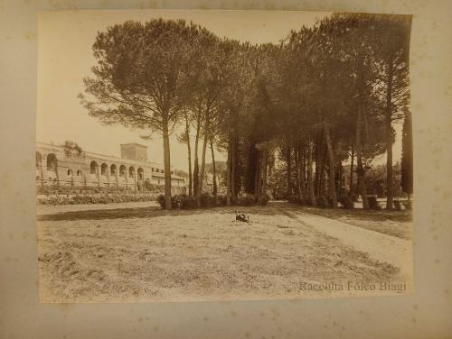 Ignazio Boncompagni Ludovisi, Villa Ludovisia, pineta: l'uomo disteso potrebbe essere lo stesso Ignazio Boncompagni Ludovisi, albumina, CC BY-SA