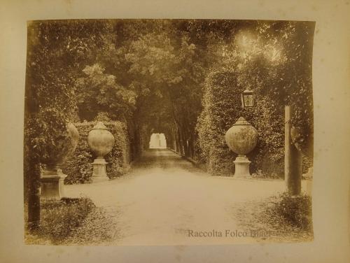 Ignazio Boncompagni Ludovisi, Villa Ludovisia, incrocio di viali con grandi vasi, albumina, CC BY-SA