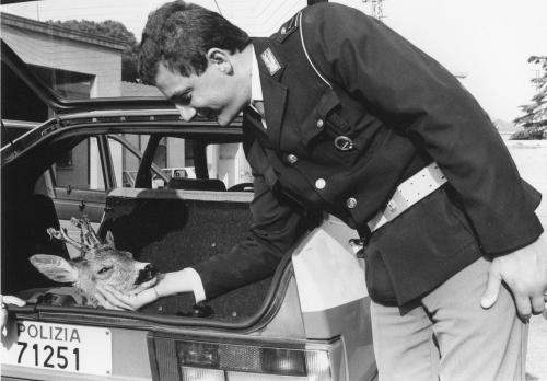 Bove, Pasquale, Serie Cronaca nera, gelatina a sviluppo, CC BY-NC-SA