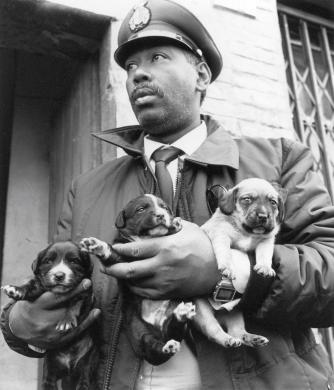 Bove, Pasquale, Serie Cronaca nera, gelatina a sviluppo, CC BY-NC-SA