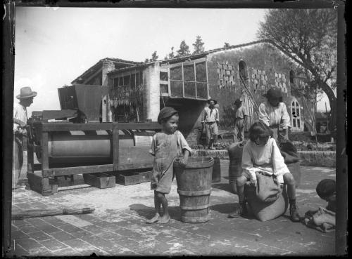 Vinci (Fi) - Famiglia di contadini con bambini al lavoro, 1920 circa, gelatina ai sali d'argento/ vetro, CC BY-NC-ND