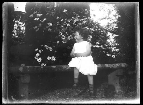 Vinci (Fi) - Bimba sulla panchina con margherite, 1920 circa, gelatina ai sali d'argento/ vetro, CC BY-NC-ND